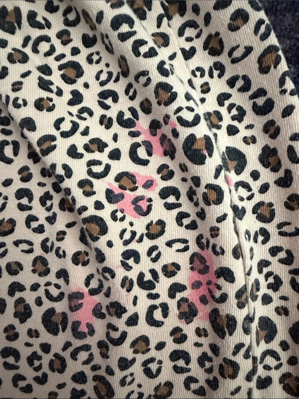 Cat & Jack cute leopard